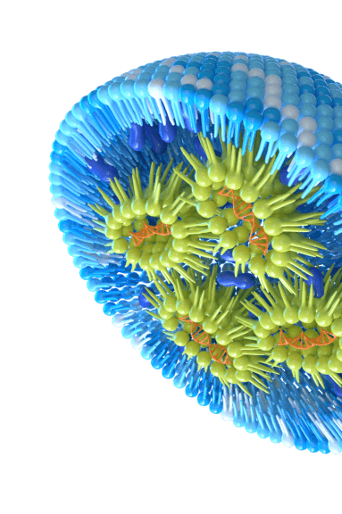 Image of Lipid Nanoparticles